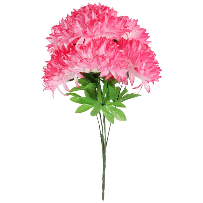 Bukiet 7 Dużych Chryzantem Cieniowanych 58 cm Kolor Rózowo-Biały