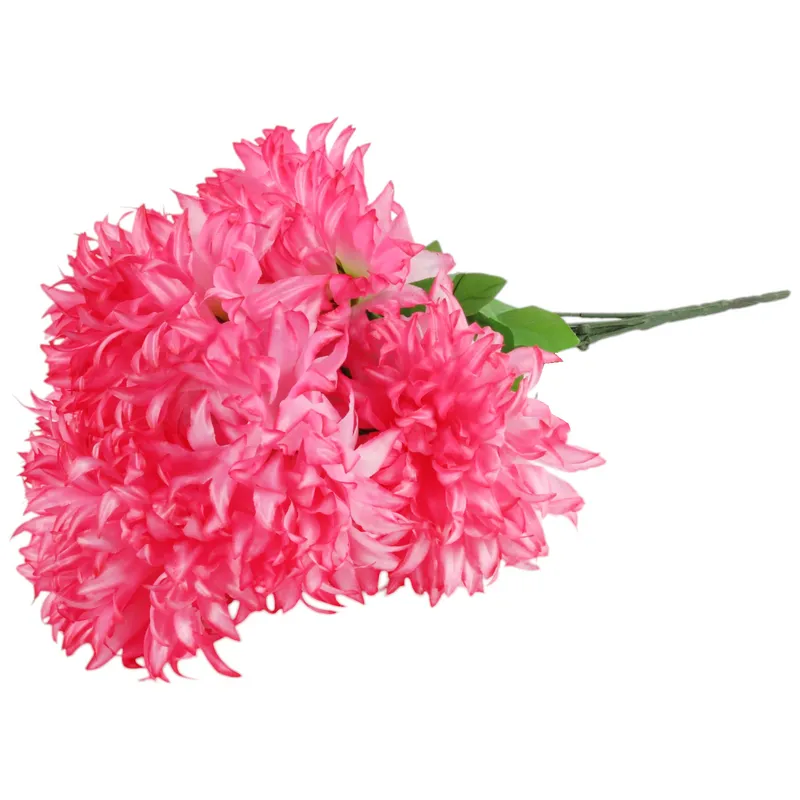 Bukiet 7 Dużych Chryzantem Cieniowanych 58 cm Kolor Rózowo-Biały