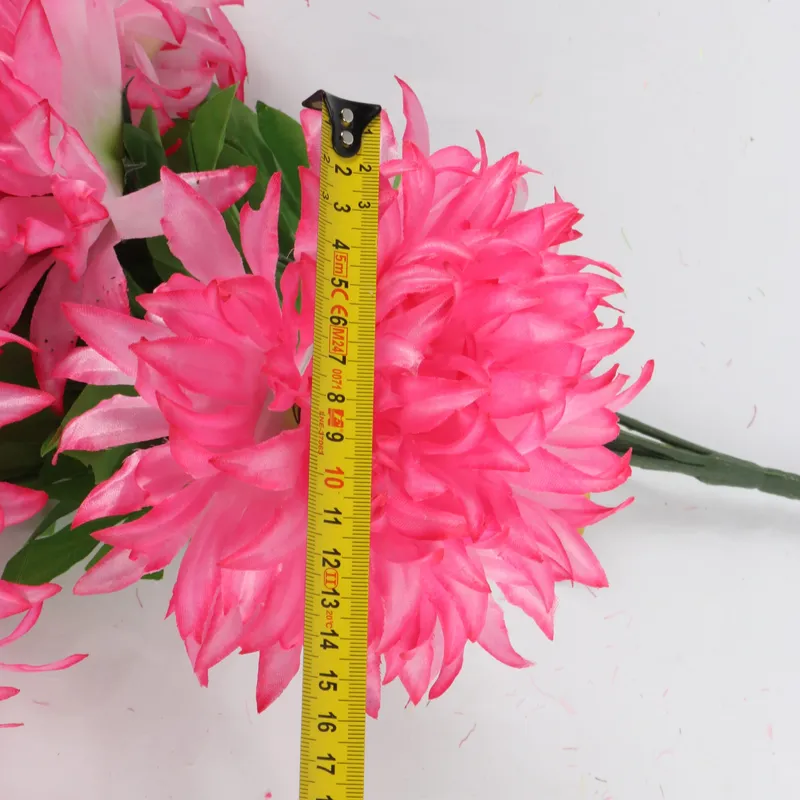 Bukiet 7 Dużych Chryzantem Cieniowanych 58 cm Kolor Rózowo-Biały