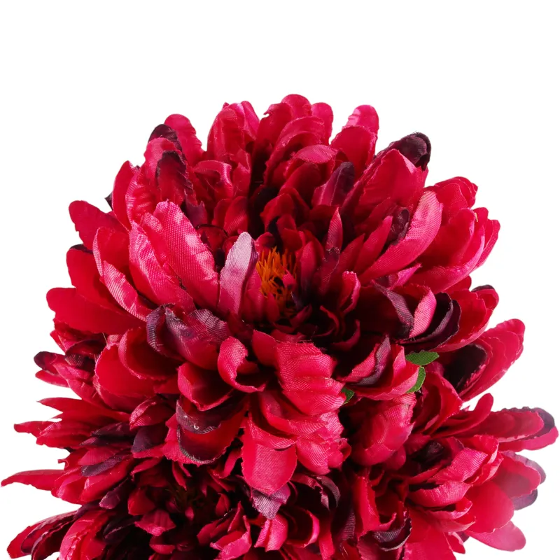 Bukiet Chryzantem 60cm Premium Kolor - Bordowy