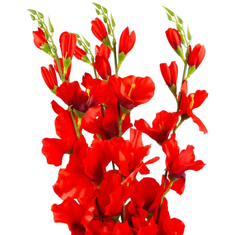 BUKIET 5 GAŁĄZEK MIECZYKÓW GLADIOLA 67 cm - Czerwona