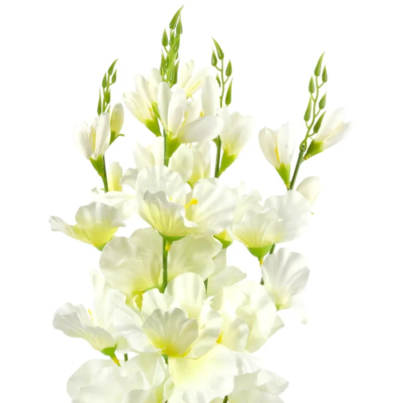 Bukiet 5 Gałązek Mieczyków Gladiola 67 cm - Biały