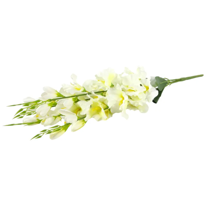 Bukiet 5 Gałązek Mieczyków Gladiola 67 cm - Biały