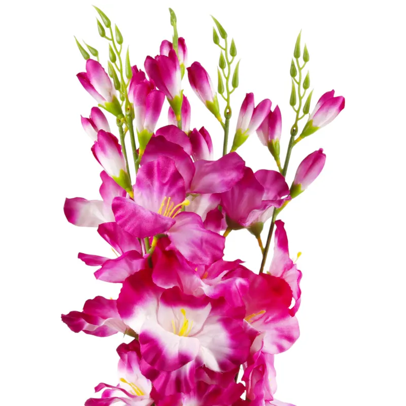 BUKIET 5 GAŁĄZEK MIECZYKÓW GLADIOLA 67 cm - Fioletowy