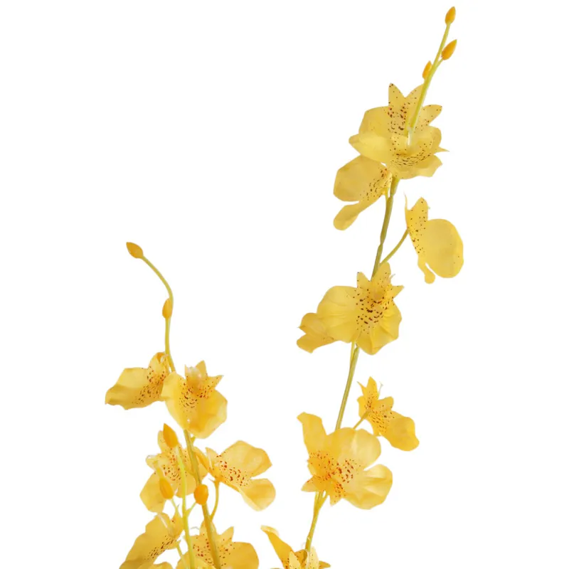 Gałązka Storczyka Oncidium 95 cm