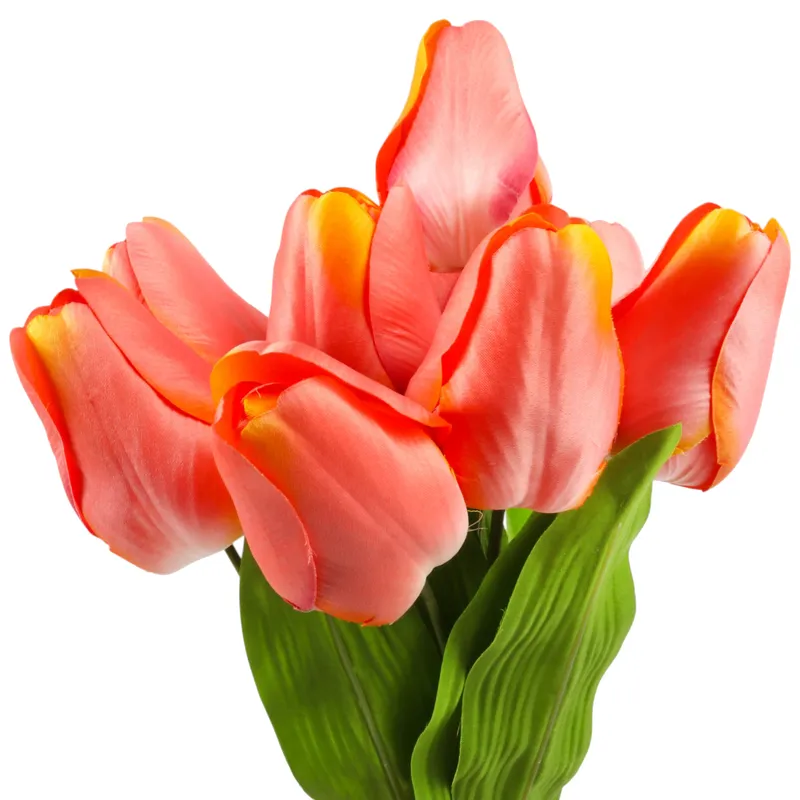 Bukiet 9 Tulipanów 44 cm Kolor - Różowo-Żółty