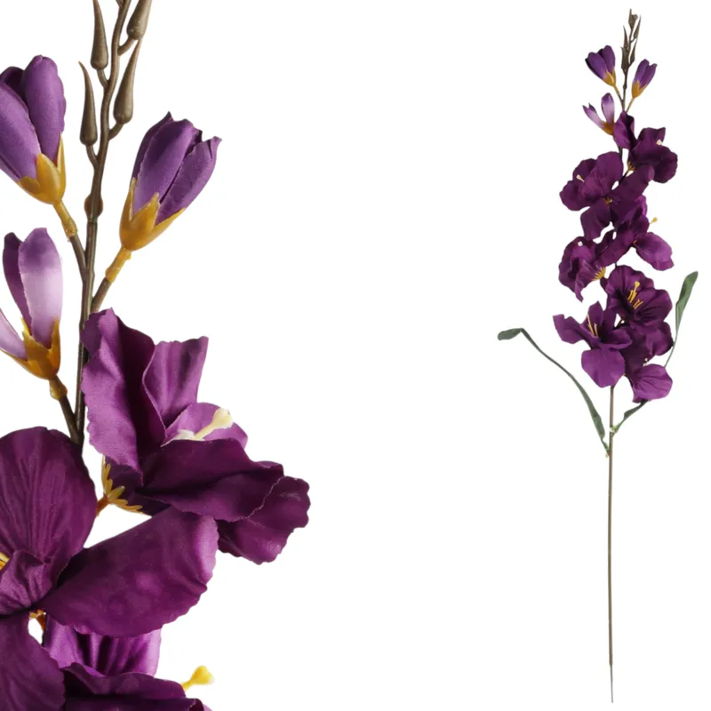 Mieczyk Fioletowy Zielony Gladiola 76 cm