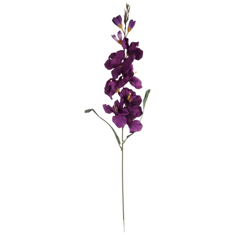 Mieczyk Fioletowy Zielony Gladiola 76 cm