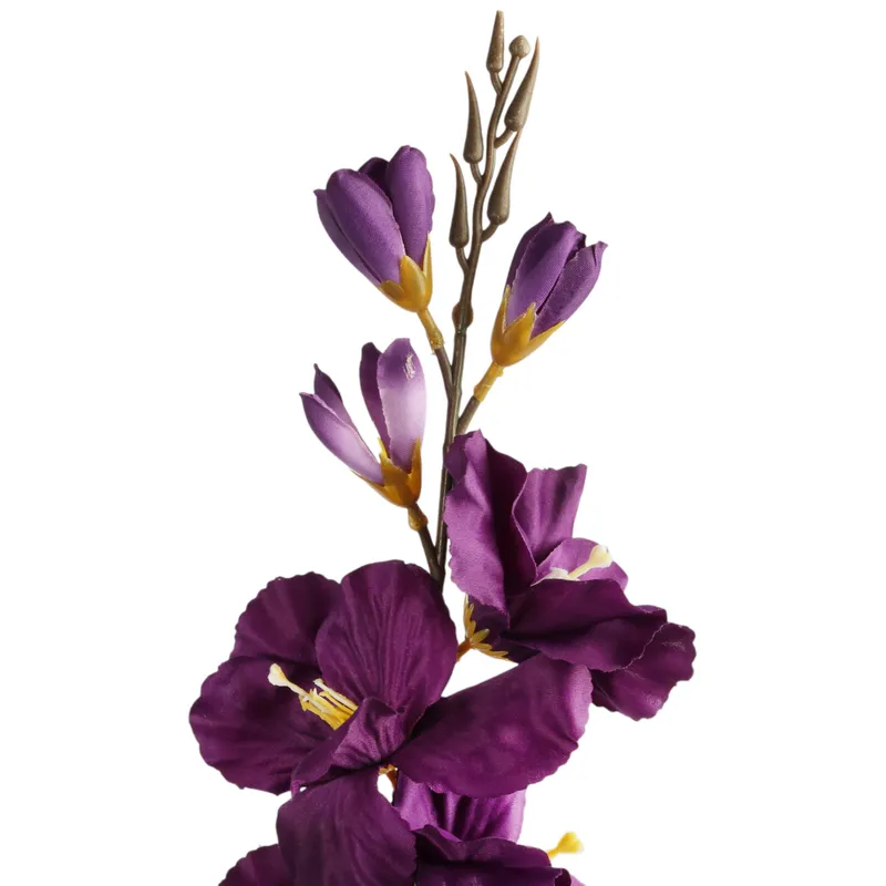 Mieczyk Fioletowy Zielony Gladiola 76 cm