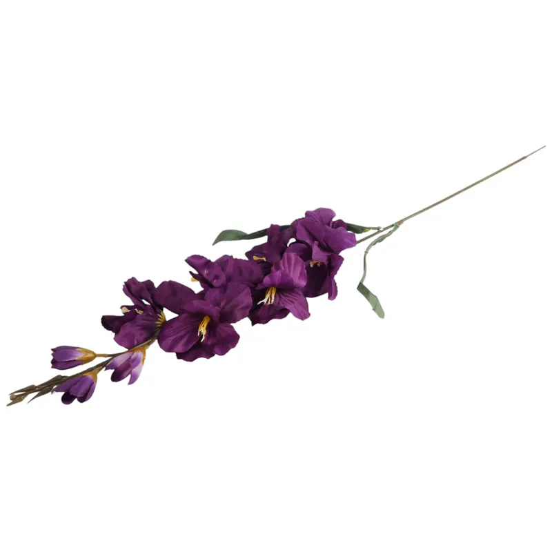 Mieczyk Fioletowy Zielony Gladiola 76 cm
