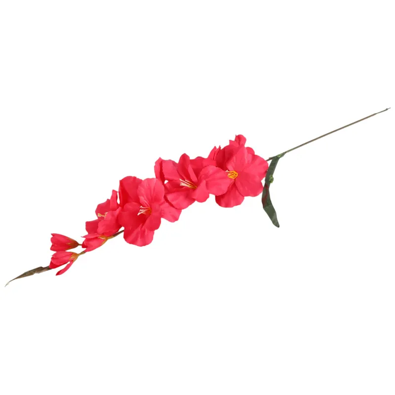 Mieczyk Ciemno-Różowy Gladiola 76 cm