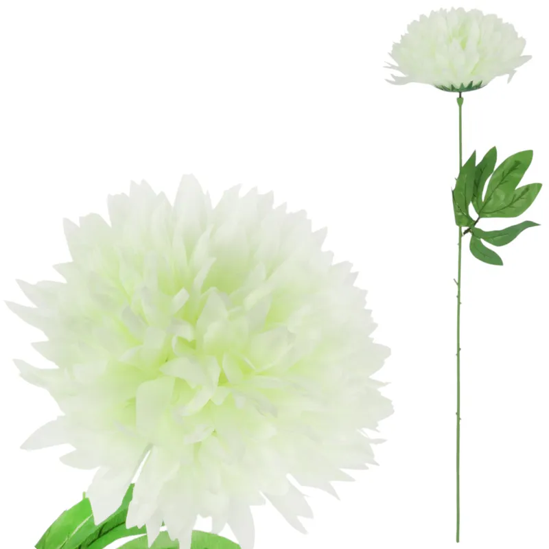 Chryzantema Pojedyka Fi 22cm - Biała