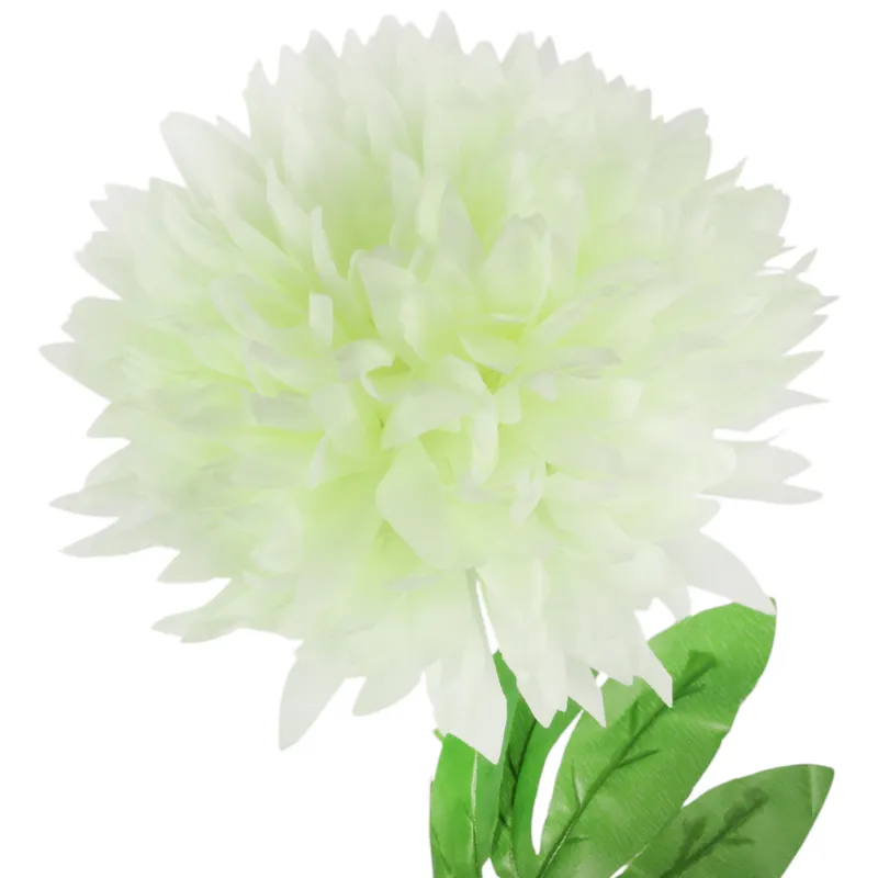 Chryzantema Pojedyka Fi 22cm - Biała