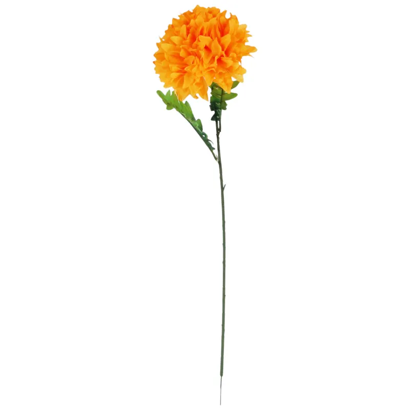 Chryzantema Pojedynczy Kwiat Fi 20 cm Jasno-Pomarańczowy