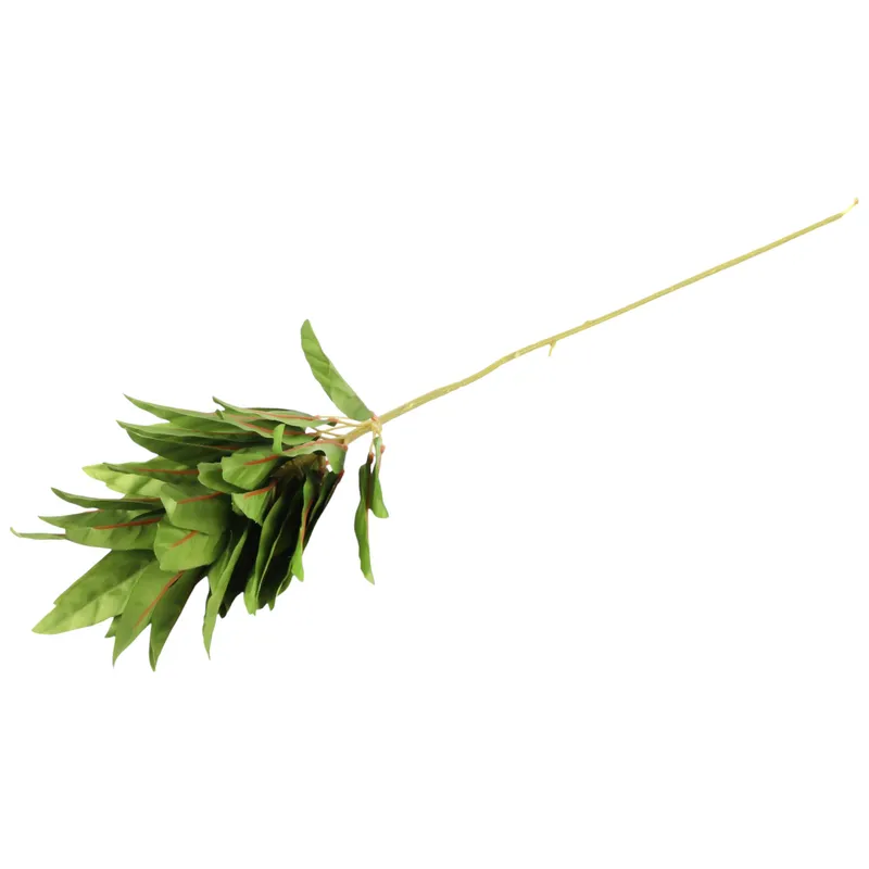 GAŁĄZKA DEKORACYJNA KURKUMA Kwiaty Sztuczne Na Do WAZONU Kompozycja Kwiaty 84 cm - Zielona