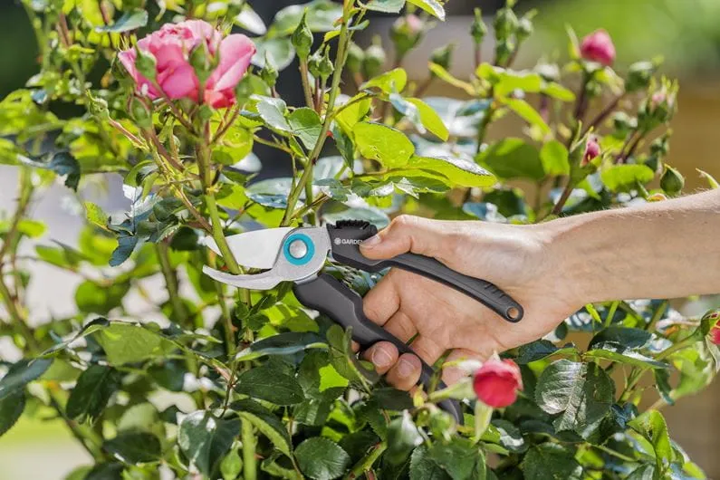 Ecoline Sekator Ogrodowy B/S-M GARDENA