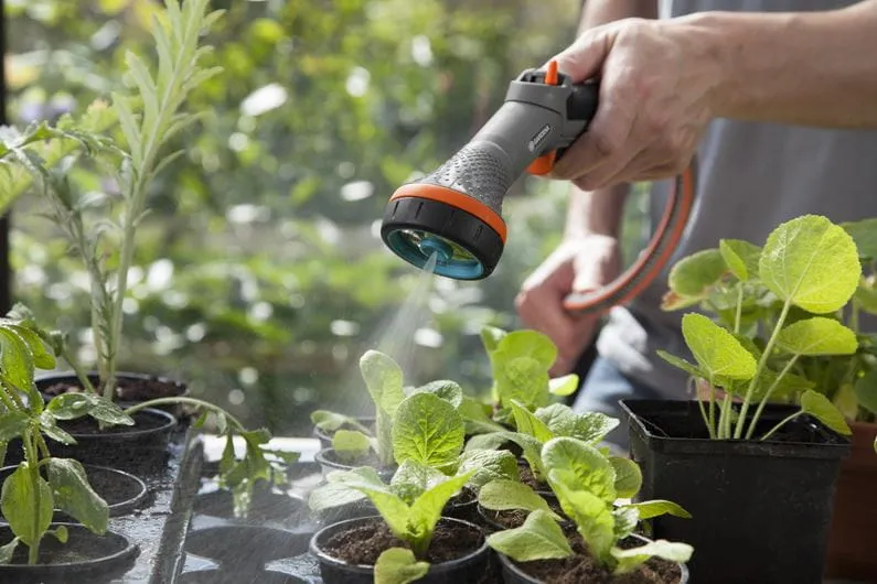 Comfort Pistolet Zraszający Do Delikatnych Roślin GARDENA
