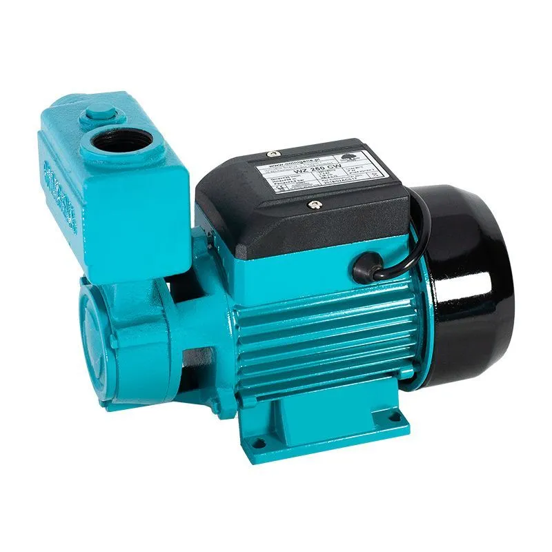 Pompa Hydroforowa Wz 250 Cw 230V OMNIGENA