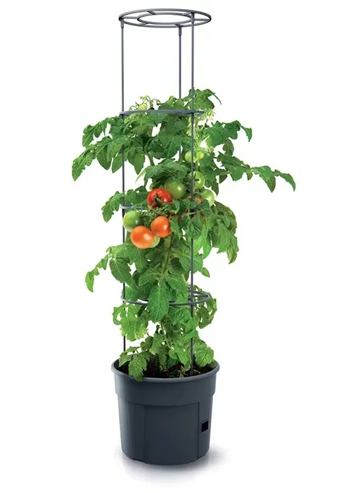 Doniczka Tomato Grower - Antracytowy 28l PROSPERPLAST