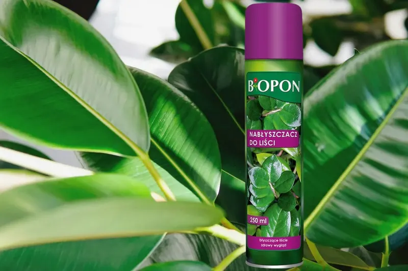 Nabłyszczacz Do Liści Spray 250 ml BIOPON