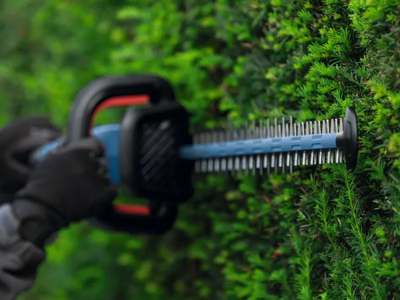 Nożyce Akumulatorowe Do Żywopłotu Ghe 18V-50 18V 0*AH BOSCH
