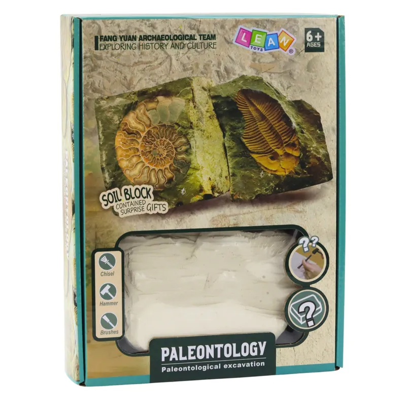 Zestaw Paleontologiczny Wykopaliska Blok Gipsowy Narzędzia
