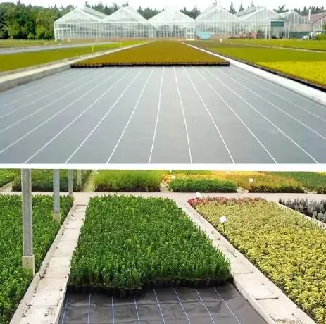 Agrotkanina 1100cm X 50m UV 135g Antychwastowa Agrowłóknina + Kotwy - Czarna