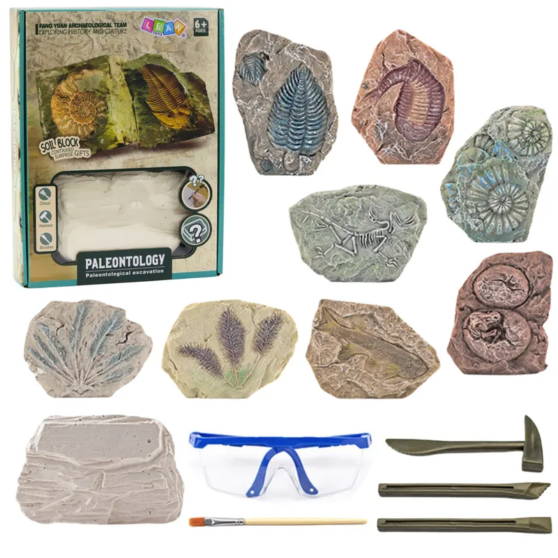 Zestaw Paleontologiczny Wykopaliska Blok Gipsowy Narzędzia