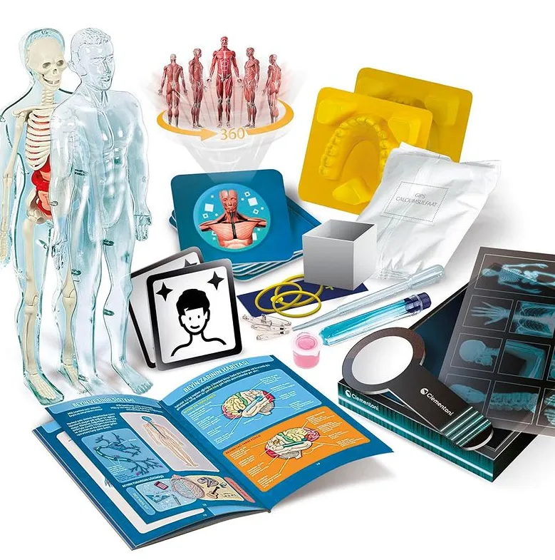 Naukowa Zabawa Super Anatomia Język Polski CLEMENTONI 50919