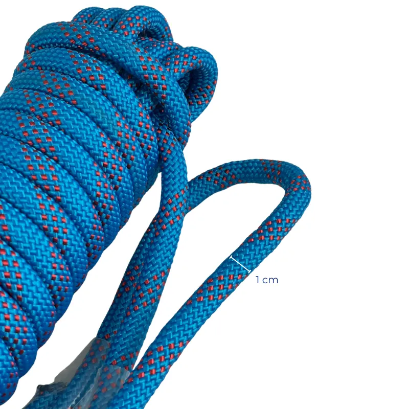 Lina Animacyjna