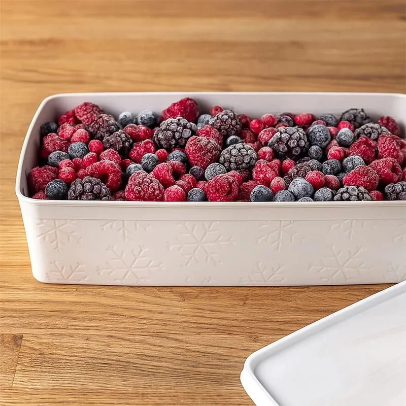 Pojemnik Na Żywność Lunchbo X 2 l Szczelny Mrożenie 27 x 15,5 cm MEBLIVA