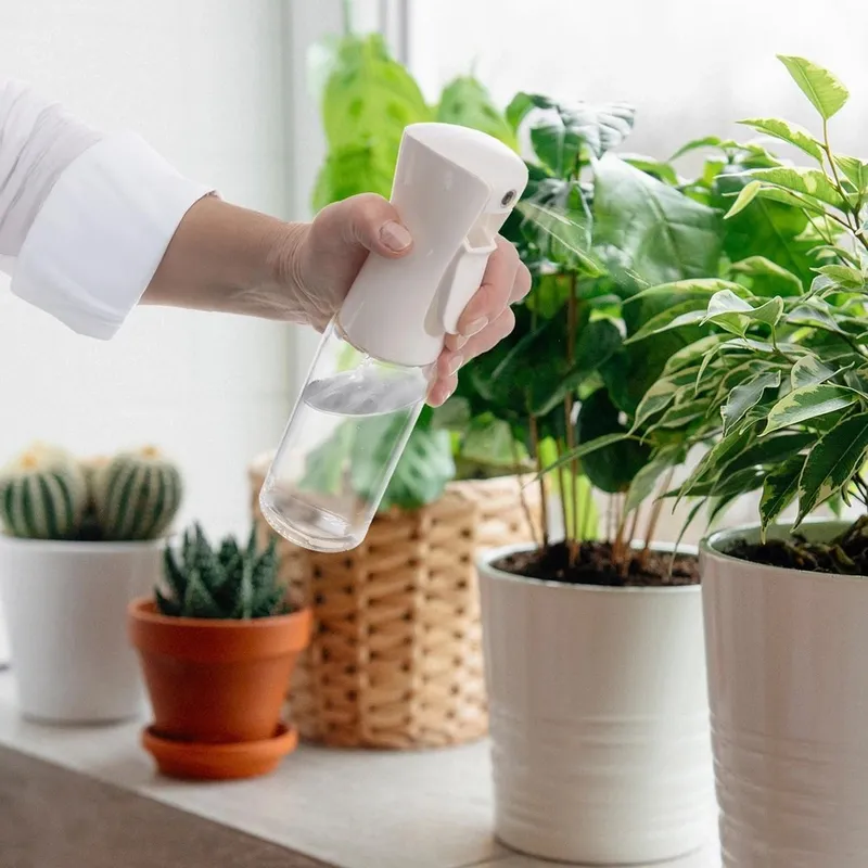 Spryskiwacz Do Oliwy I Octu Szklany 250 ml MEBLIVA