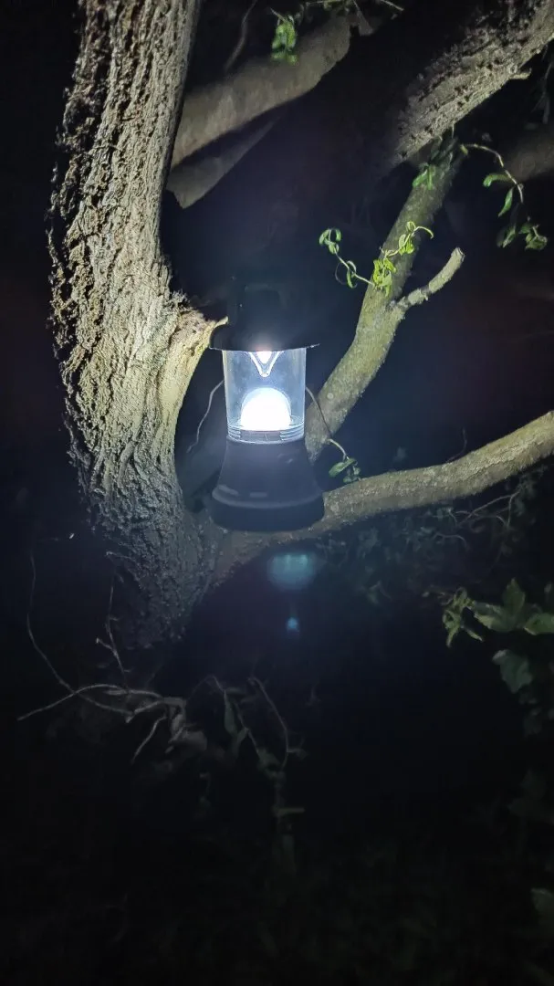Lampa Kempingowa LED Latarka Biwakowa Bateryjna Z Uchwytem 11 LED MOVEMANIA