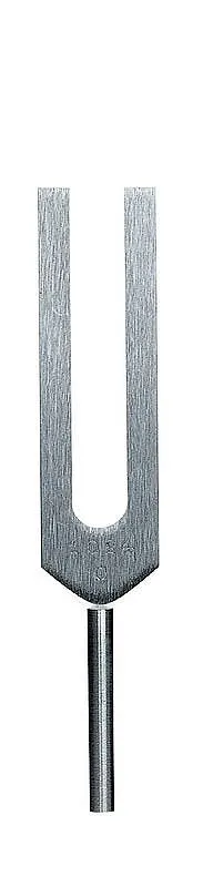 RIESTER STROIK C-3 1024 Hz Stroik Laryngologiczny Bez Ciężarków, Aluminiowy