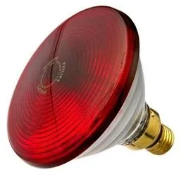 MOMERT Żarówka 100 W PHILIPS Do Lamp MOMERT, Żarówka Zamienna, 1 szt
