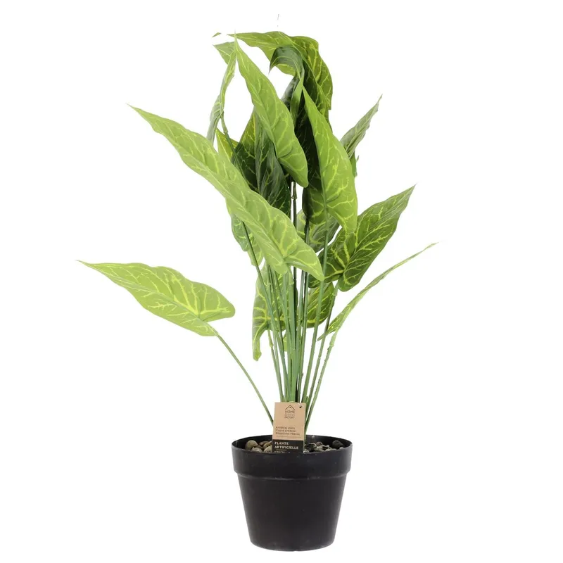 Sztuczna Roślina MEBLIVA Alocasia 55cm, Tworzywo Sztuczne - Zielony