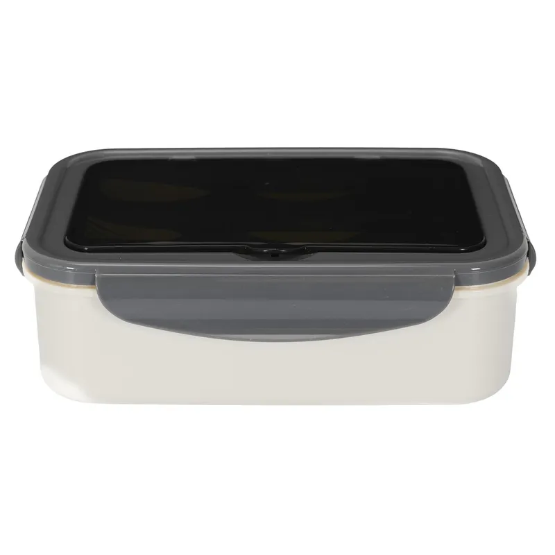 Lunch Box Single MEBLIVA Ze Sztućcami, Pojemność 2,5 l - Szary