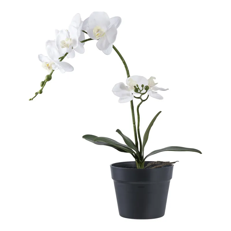 Sztuczna Roślina Orchidea MEBLIVA Polietylen Nowoczesny - Biały