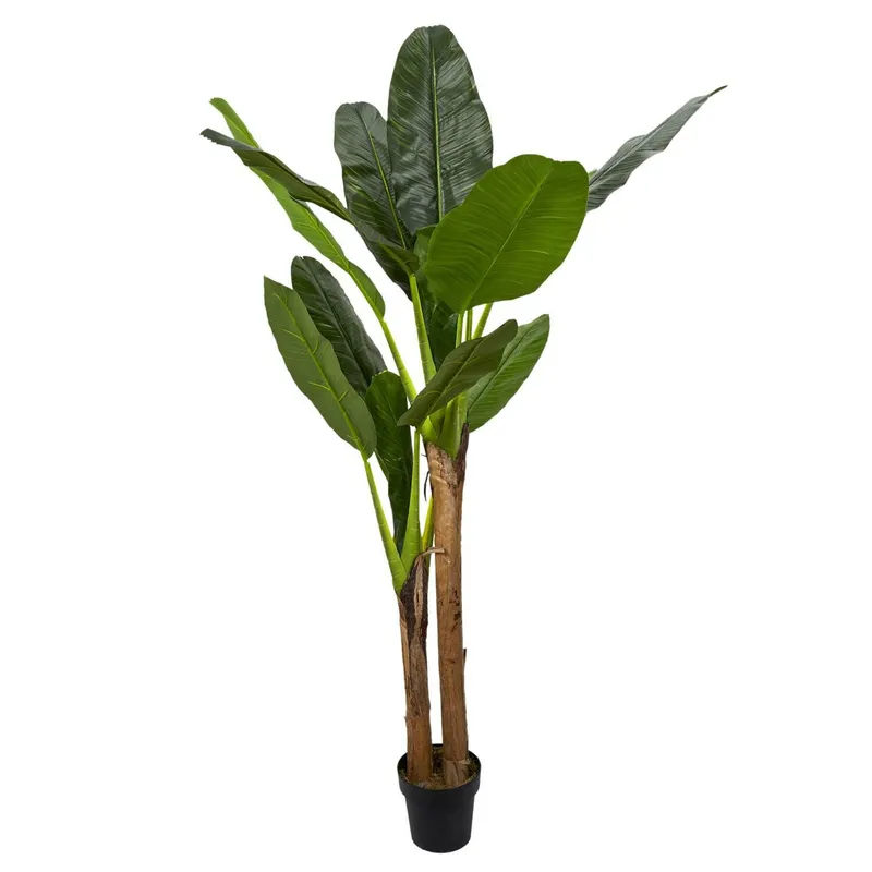 Sztuczna Roślina MEBLIVA Bananowiec 160cm, Nowoczesny Styl - Zielony
