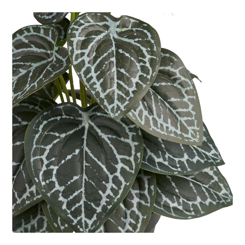 Roślina Sztuczna MEBLIVA Fittonia 33 cm, Polipropylen - Zielona