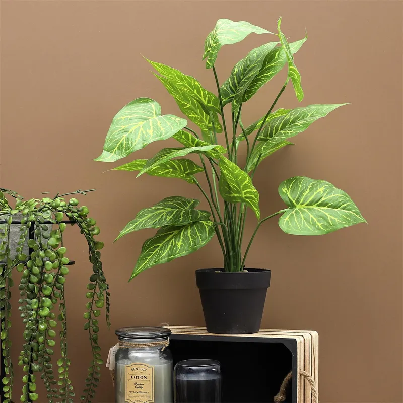 Sztuczna Roślina MEBLIVA Alocasia 55cm, Tworzywo Sztuczne - Zielony