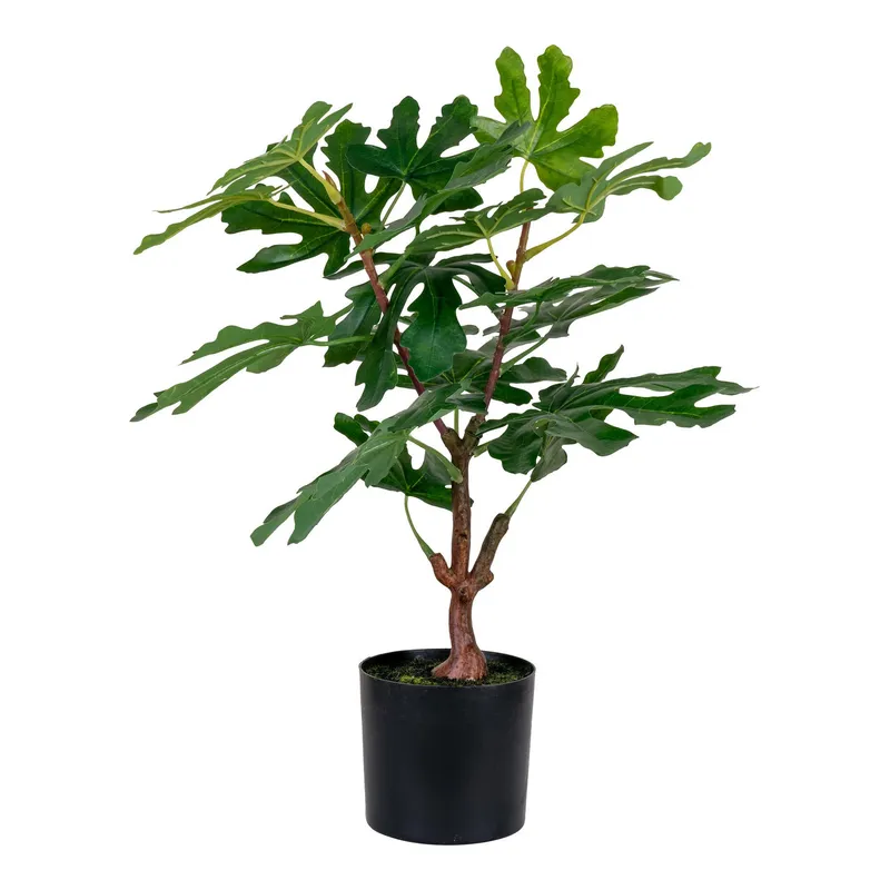 Sztuczne Drzewo Figowe MEBLIVA 60cm, Polietylen - Zielony