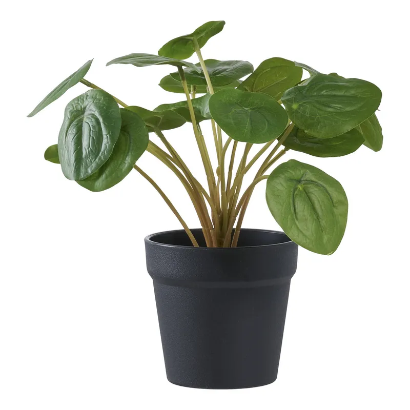 Sztuczny Kwiat MEBLIVA Pelia 28cm, Polietylen - Zielony