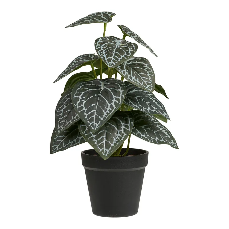 Roślina Sztuczna MEBLIVA Fittonia 33 cm, Polipropylen - Zielona