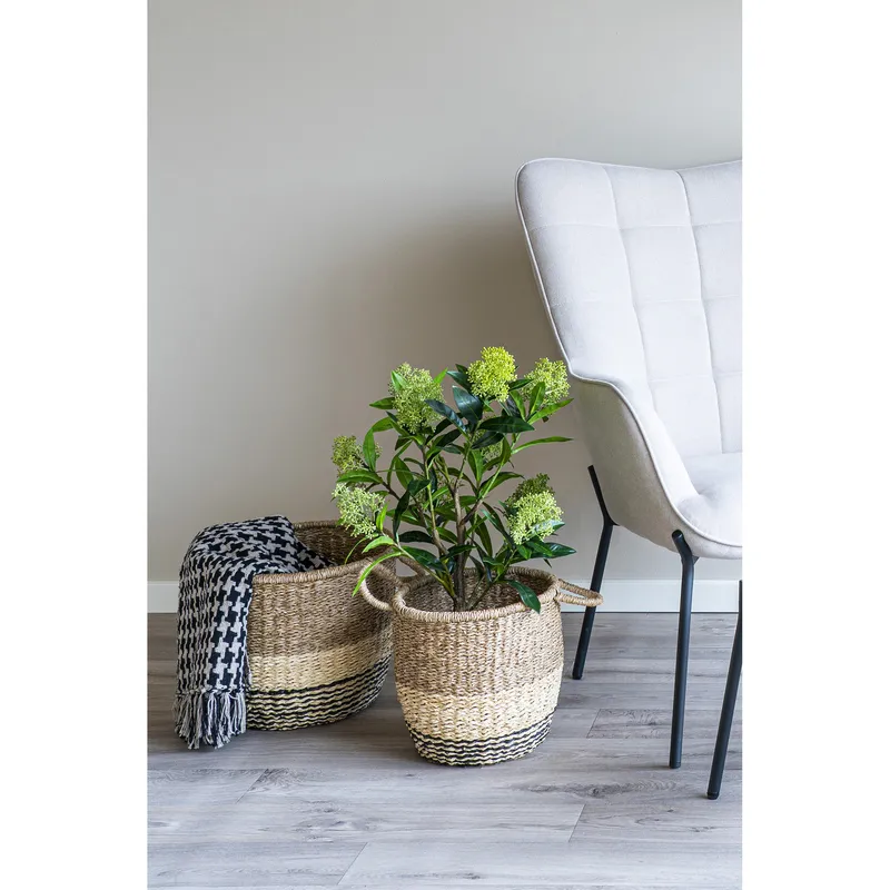 Sztuczne Drzewo MEBLIVA Skimmia 75cm, Polietylen - Zielony