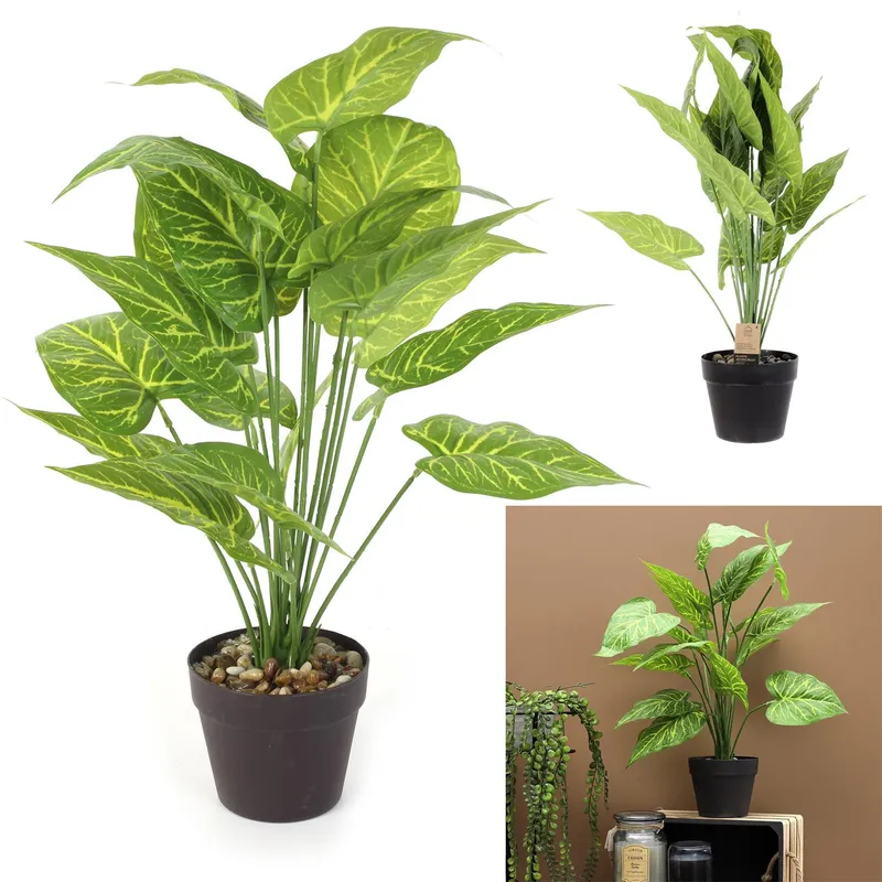 Sztuczna Roślina MEBLIVA Alocasia 55cm, Tworzywo Sztuczne - Zielony