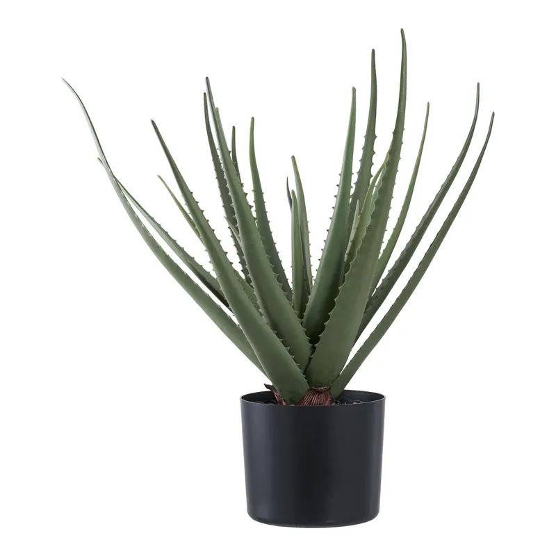 Sztuczna Roślina MEBLIVA Aloes, Polietylen, Nowoczesny - Zielony