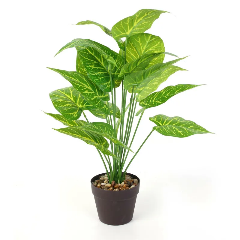 Sztuczna Roślina MEBLIVA Alocasia 55cm, Tworzywo Sztuczne - Zielony