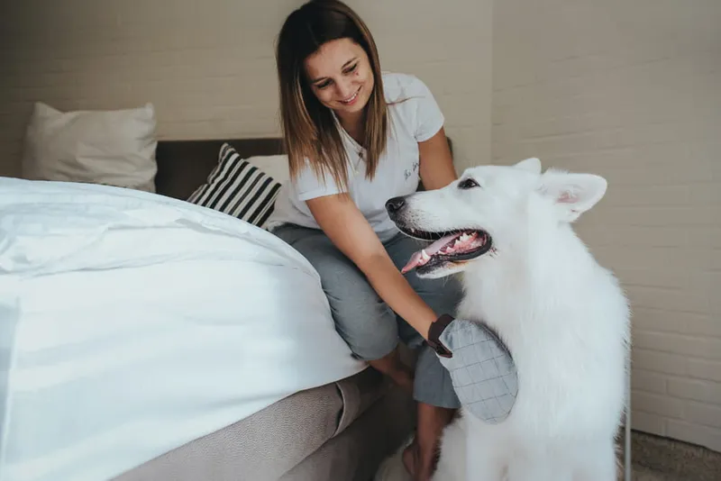 Hunter Grooming Szczotka Rękawica Dla Psa I Kota