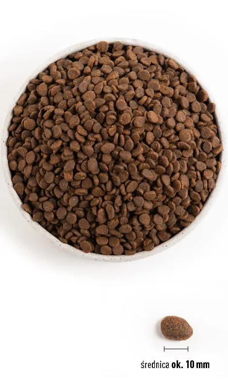 ORIJEN Regional Red Cat 1,8kg